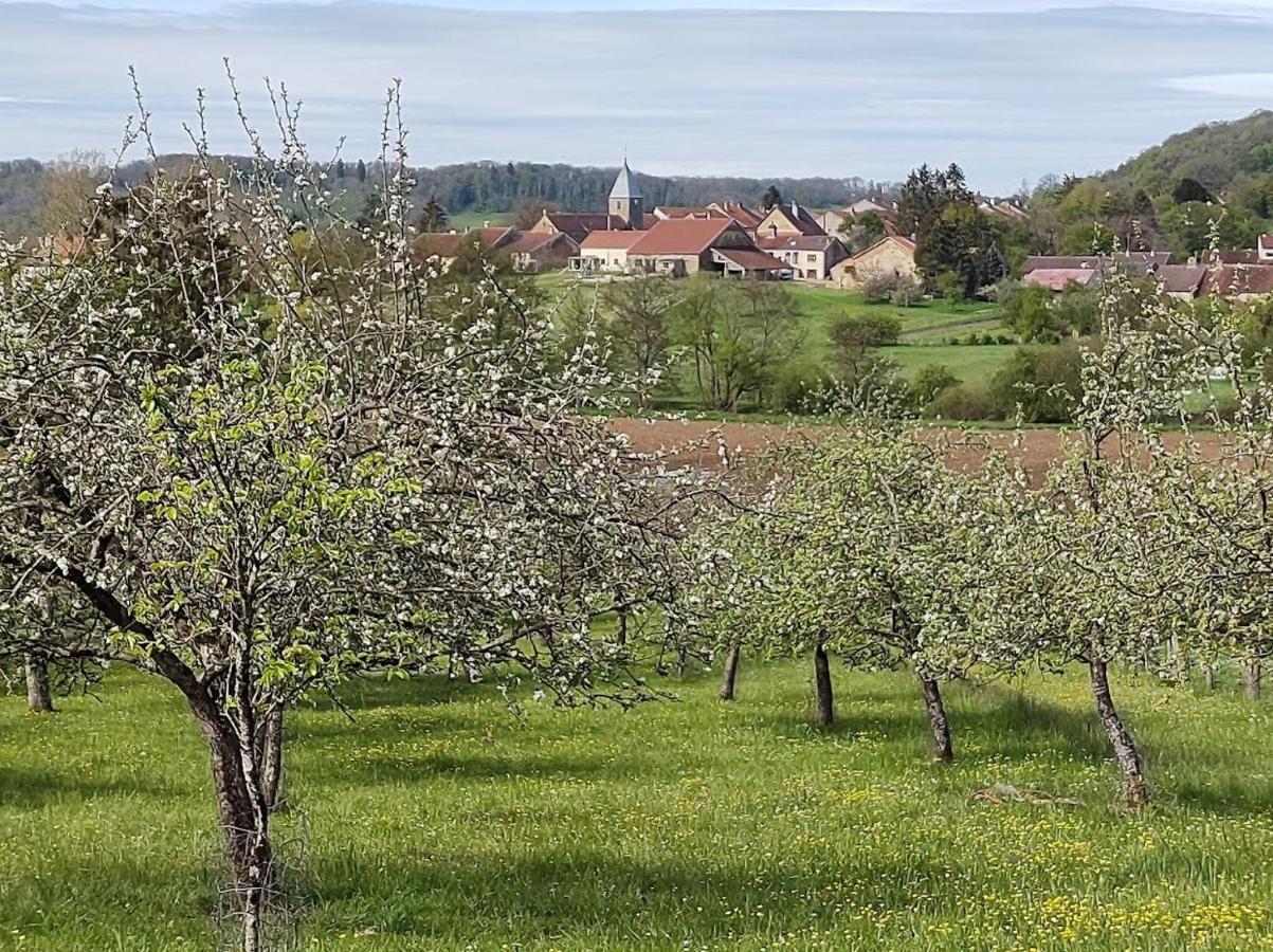 Chateau D'Impasse Laferte-sur-Amance Екстер'єр фото